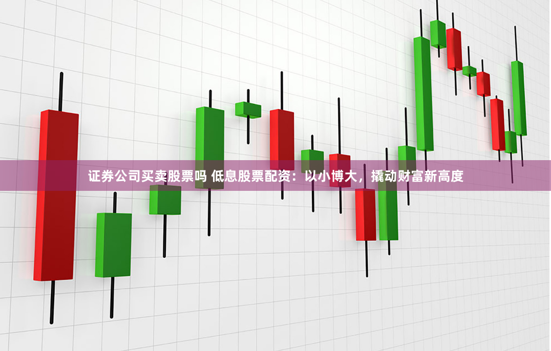 證券公司買賣股票嗎 低息股票配資：以小博大，撬動財富新高度